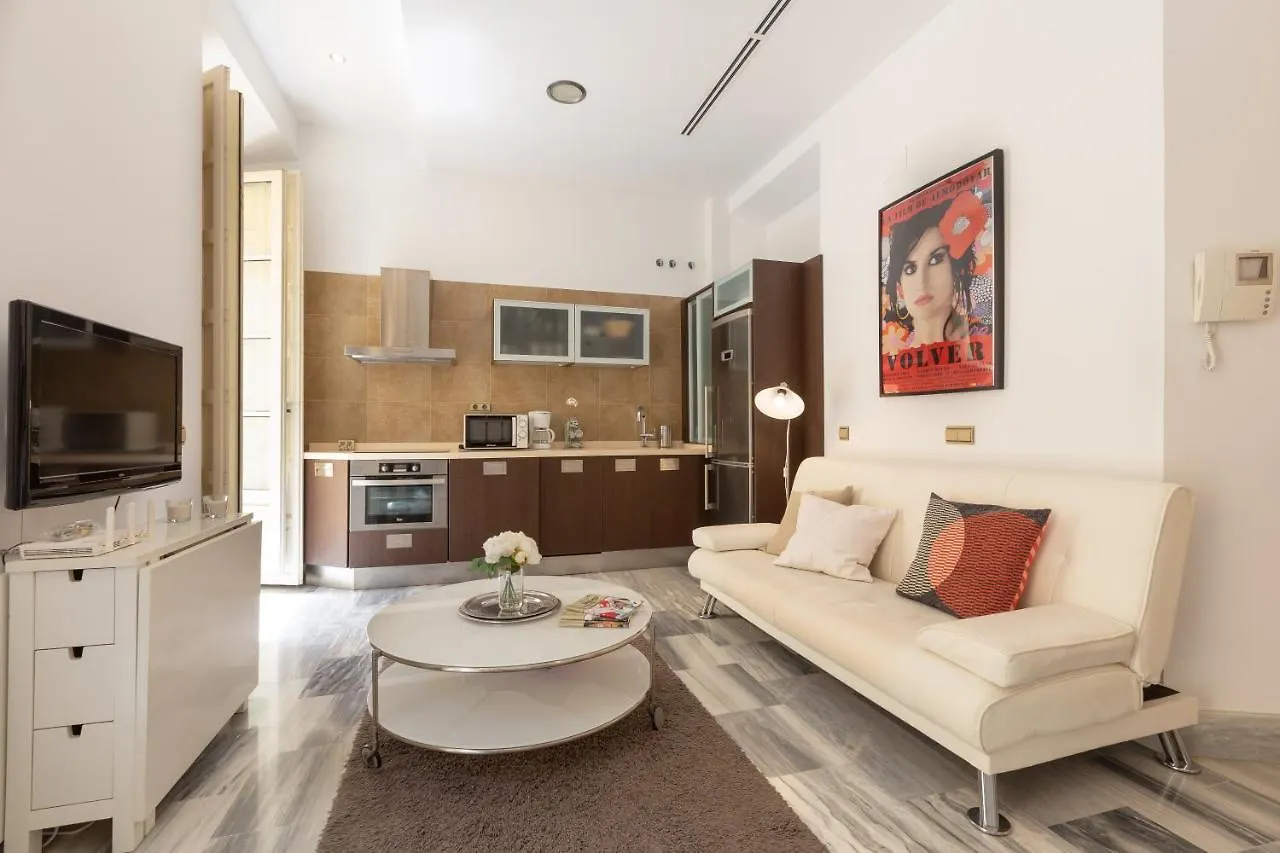 Apartamento con vistas a la Plaza de la Merced junto a la casa de Picasso Málaga España