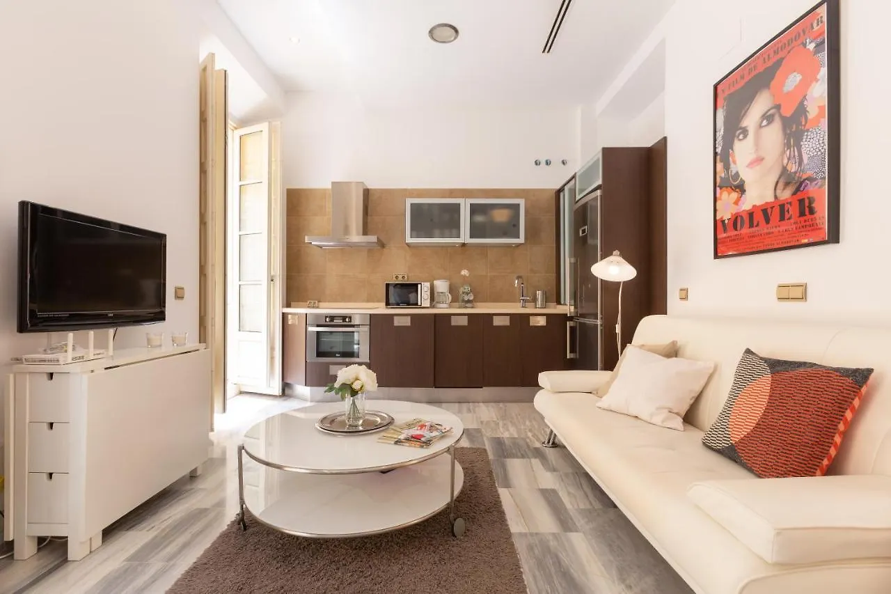 Apartamento con vistas a la Plaza de la Merced junto a la casa de Picasso Málaga España