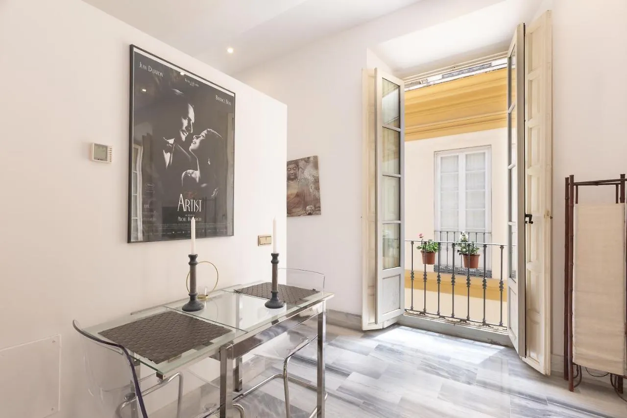 Apartamento con vistas a la Plaza de la Merced junto a la casa de Picasso Málaga