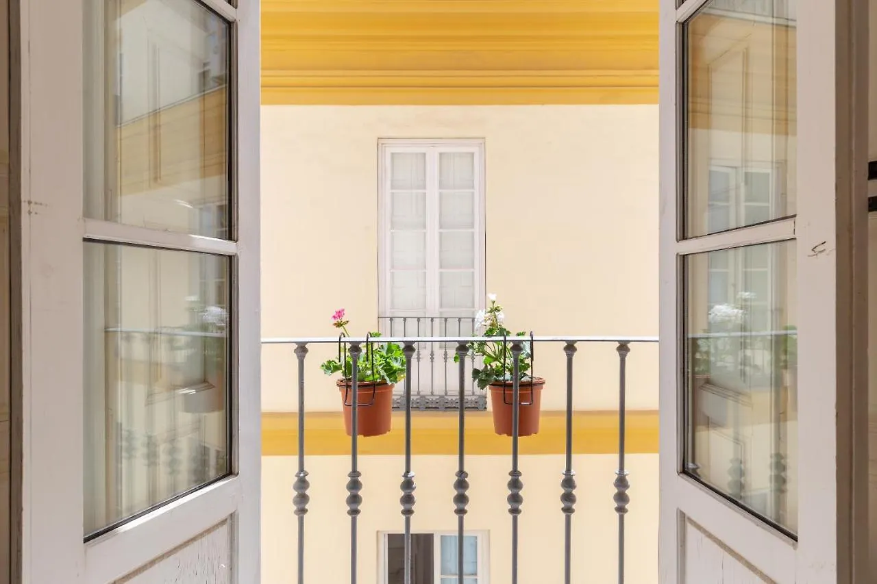 Apartamento con vistas a la Plaza de la Merced junto a la casa de Picasso Málaga España