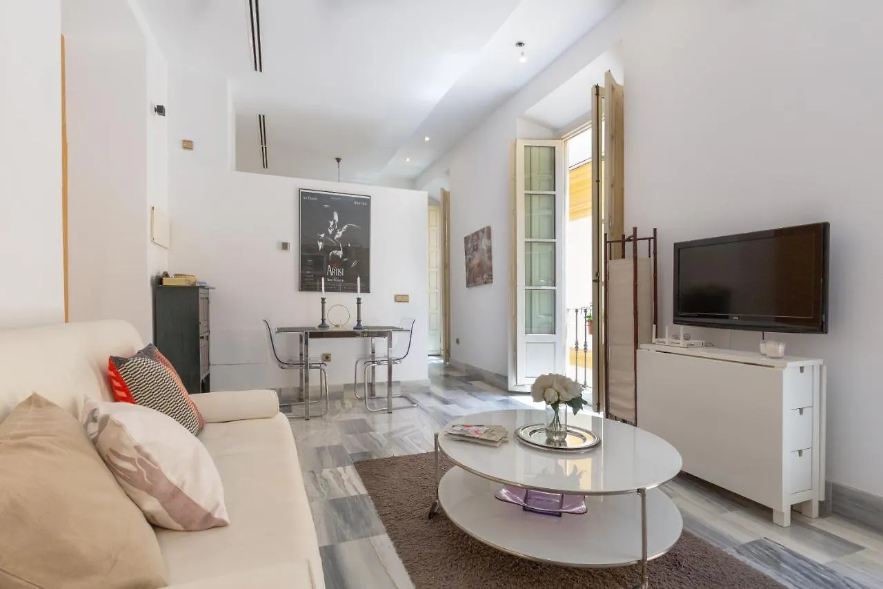 Apartamento con vistas a la Plaza de la Merced junto a la casa de Picasso Málaga
